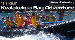 4-Hour Award Winning Kealakekua Bay Adventure