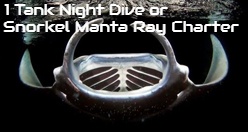 1 Tank Night Dive or Snorkel Manta Ray Charter