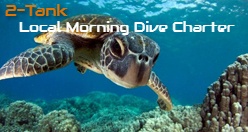 Kona 2-Tank Local Morning Dive Charter