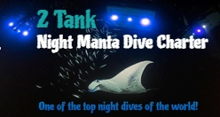 2 Tank Night Manta Dive Charter Kona