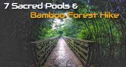 7 Sacred Pools & Bamboo Forest Hike