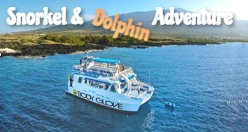 Snorkel & Dolphin Adventure Kona coast