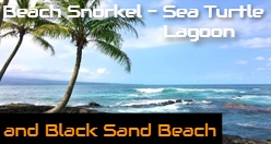 Beach Snorkel - Sea Turtle Lagoon and Black Sand Beach