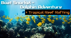 Hilo Boat Snorkel - Dolphin Adventure and Tropical Reef Rafting
