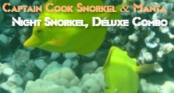Captain Cook Snorkel & Manta Night Snorkel, Deluxe Combo