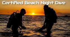 Certified Beach Night Dive Hilo