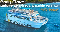 Deluxe Snorkel & Dolphin WATCH 4.5-hour Kona