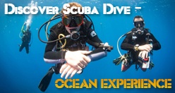 Discover Scuba Dive - OCEAN EXPERIENCE Koloa