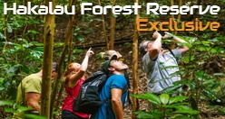 Hakalau Forest Reserve Exclusive