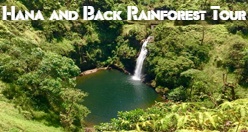 Hana and Back Rainforest Tour