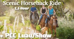 1.5 Hour Scenic Horseback Ride + PCC Luau/ Show Oahu
