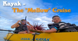 Kayak - The 