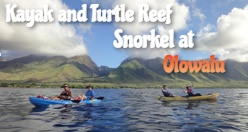 Kayak and Turtle Reef Snorkel at Olowalu