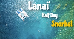 Lanai Half Day Snorkel Adventure