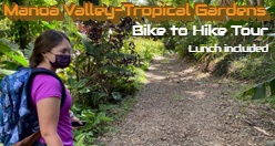 Manoa Valley-Tropical Gardens Bike to Hike Tour, lunch included