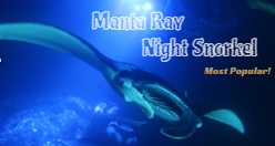 Manta Ray Night Snorkel Keauhou 