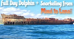 Full Day Dolphin + Snorkeling from Maui to Lanaī