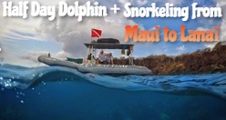 Half Day Dolphin + Snorkeling from Maui to Lanaī