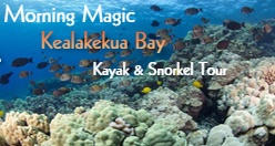 Morning Magic Kealakekua Bay Kayak & Snorkel Tour