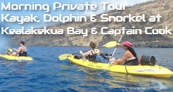 Morning Private Tour - Kayak, Dolphin & Snorkel at Kealakekua Bay & Captain Cook