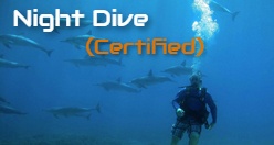 Maui Night Dive (Certified)