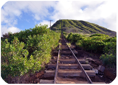 Oahu Hike Tours