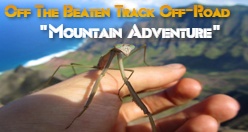 Off The Beaten Track Off-Road - 
