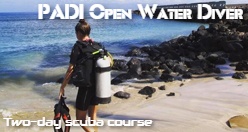 PADI Open Water Diver Maui