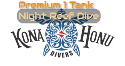 Premium 1 Tank Night Reef Dive Kona