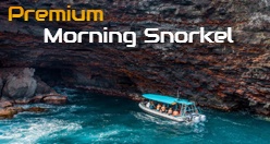 Premium Morning Snorkel Puʻuhonua O Honaunau & Kealakekua Bay