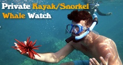 Private Kayak/Snorkel/Whale Watch