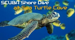 SCUBA Shore Dive at Sea Turtle Cove
