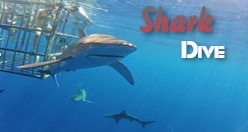 Shark Dive Oahu