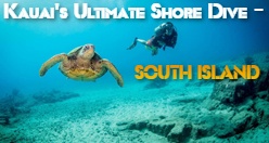 Kauai's Ultimate Shore Dive - SOUTH ISLAND