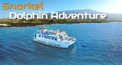 Snorkel Dolphin Adventure Kona