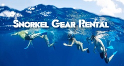 Snorkel Gear Rental Hilo