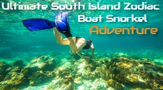 Kauai's Ultimate South Island Zodiac Boat Snorkel Adventure