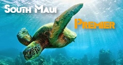 South Maui Premier