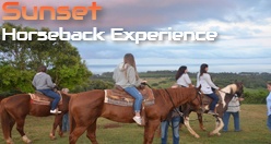 Oahu Sunset Horseback Experience