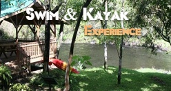 Swim & Kayak Experience Hakalau