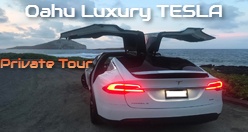 Oahu Luxury TESLA Private Tour