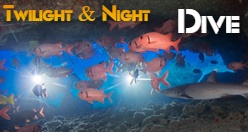 Twilight & Night Dive Koloa
