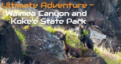 Ultimate Adventure - Waimea Canyon and Koke'e State Park