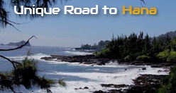 Unique Road to Hana